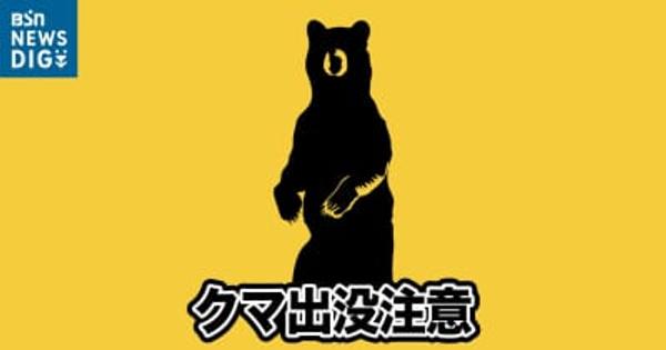 新潟・阿賀町で50代男性がクマに襲われけが　タケノコ採りの最中に