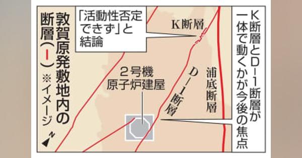 敦賀原発敷地の活断層否定できず　規制委結論、廃炉可能性も