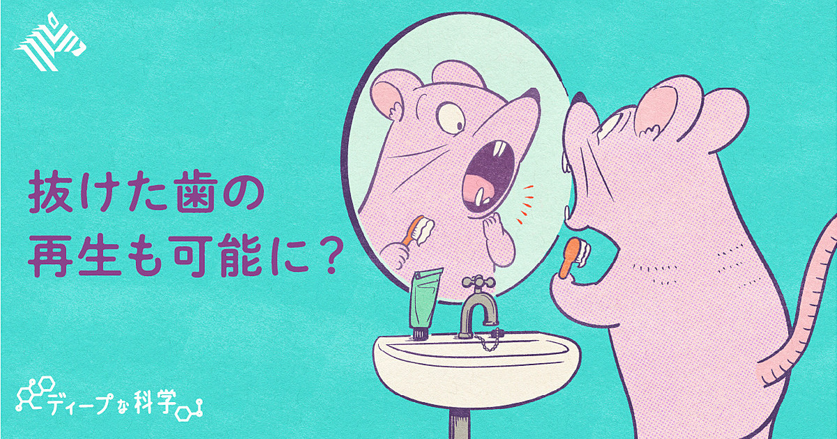 【世界初】日本で「歯を生やす薬」の臨床試験が始まる