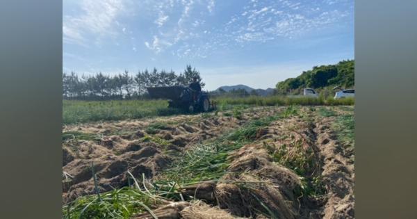 飲食店が長続きしない地域で、農家カフェ経営10期目を迎える女性農業経営社者