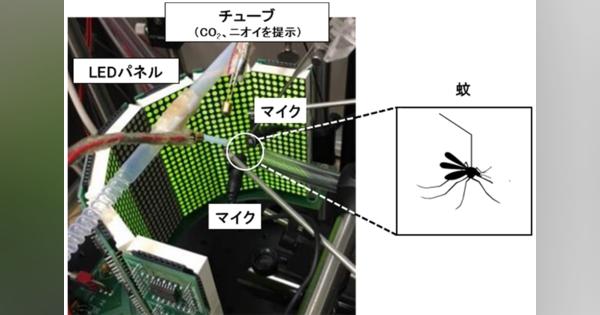 「蚊」専用の仮想現実で弱点を発見