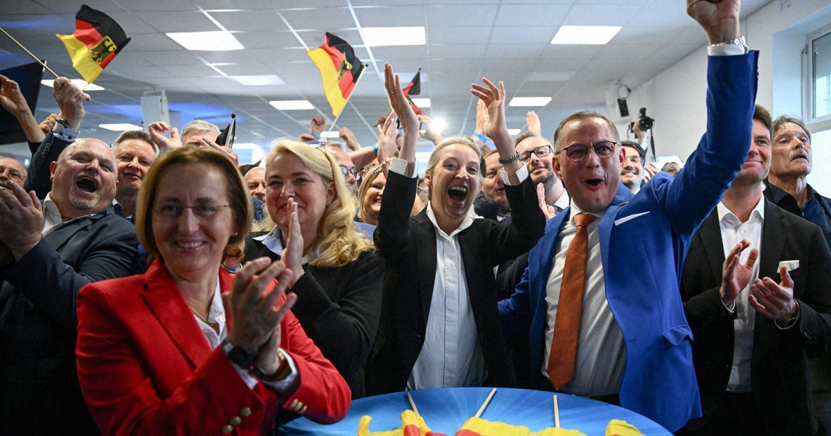 スキャンダルだらけの極右政党が躍進 欧州議会選、ドイツで何が (毎日新聞)