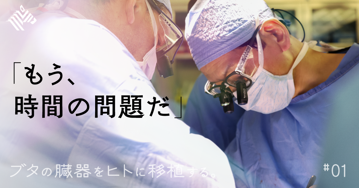 異種移植―21世紀の驚異の医療 Amazon.co.jp: 異種移植――医療は種の境界を超えられるか : 山内