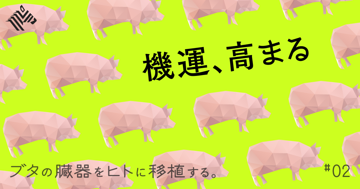 異種移植―21世紀の驚異の医療 Amazon.co.jp: 異種移植: 21世紀の驚異の医療 : 山内 一也: 本