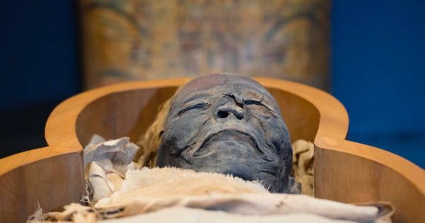 古代エジプト人のミイラからも発見!紀元前から人類を苦しめ 古代エジプト人のミイラからも発見!紀元前から人類を苦しめ