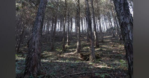 「サントリー 天然水の森 栃木」の森林整備に関する協定締結