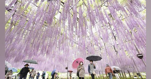 海外ではディズニーランド､USJに次ぐ知名度…栃木県にある外国観光客が急増しているテーマパークの名前