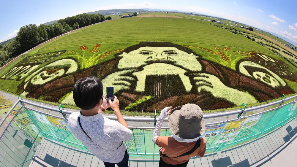 マツコ、旭川でおにぎりほおばる 「田んぼアート」見ごろ (北海道新聞