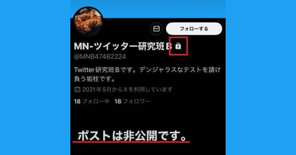 X/Twitterを「鍵垢」にする方法 - 鍵をかけて非公開に設定 (プラス