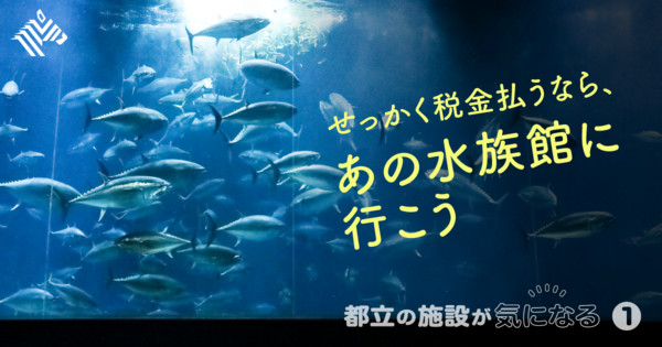 【猛暑の秋】この真実を知ると、水族館が10倍楽しい