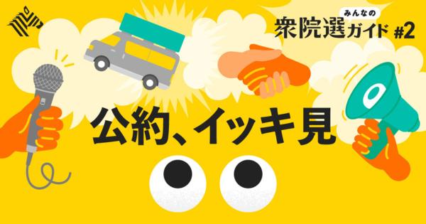 【保存版】衆院選の投票先に困る人は、これさえ読めばOKだ