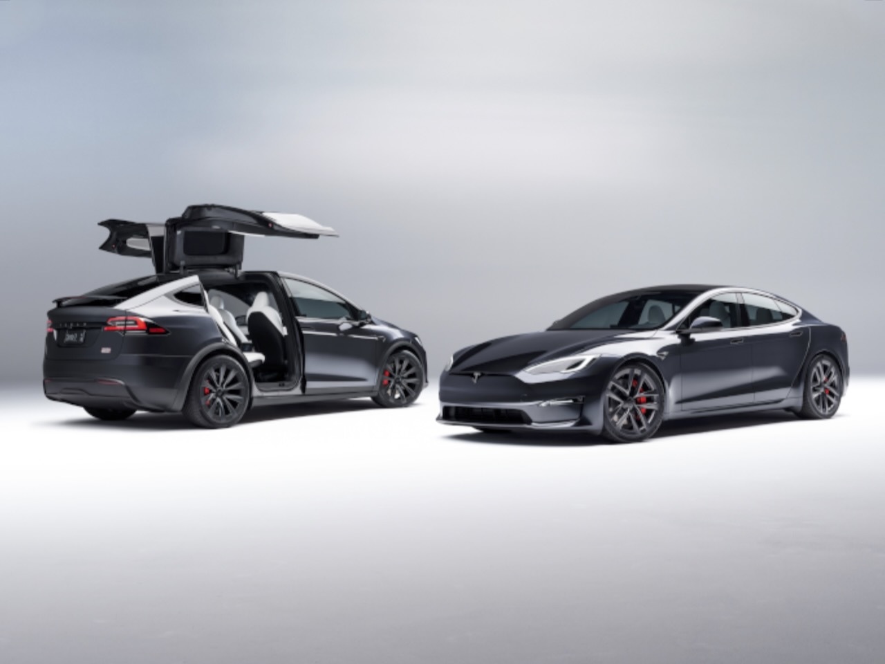 新品未開封　テスラ　ハンドメイド デキャンタ　　tesla 新品未開封 テスラ ハンドメイド デキャンタ tesla 【公式通販】