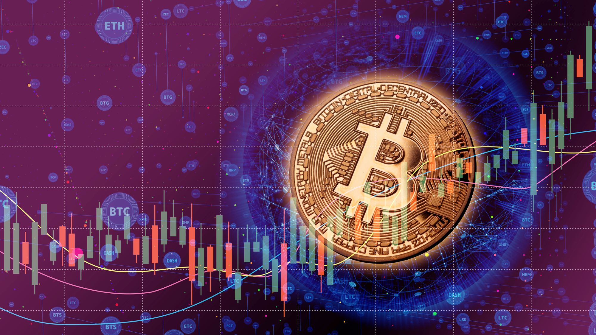 株式会社ビットポイントジャパン｜スピーダ スタートアップ情報リサーチ