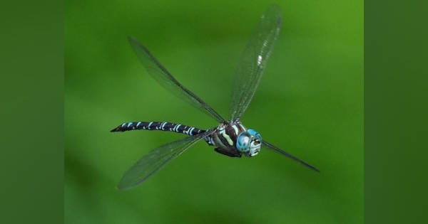 share?height=315&updatedAt=