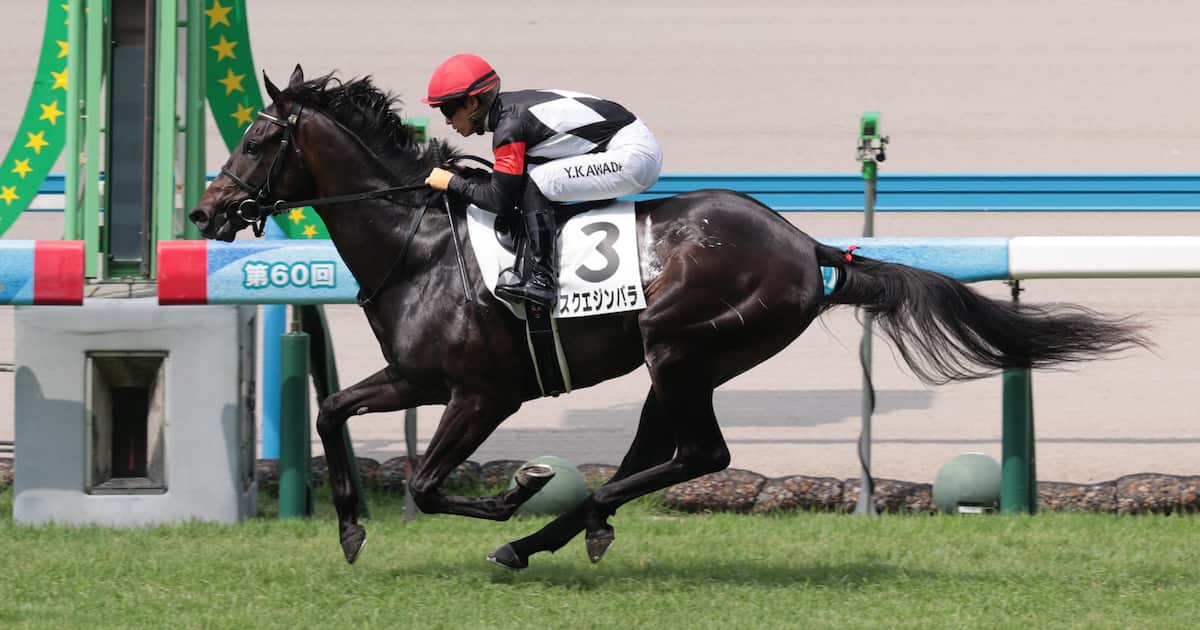 Jra.クラブ競馬当選品。超貴重品 競馬ニュース｜東京サラブレッドクラブ