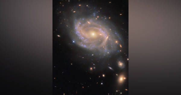 share?height=315&updatedAt=