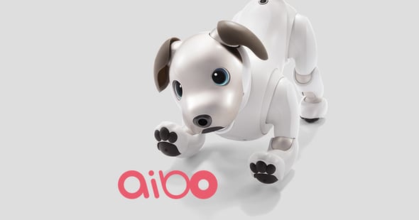 ソニーの「アイボ」、“次の製品”を開発中 「今ここにその子がいるん