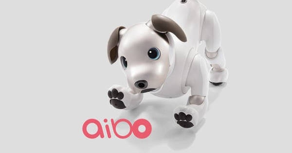 aibo本体【動きません】 ソニーの「アイボ」、“次の製品”を開発中 「今ここにその子がいるん