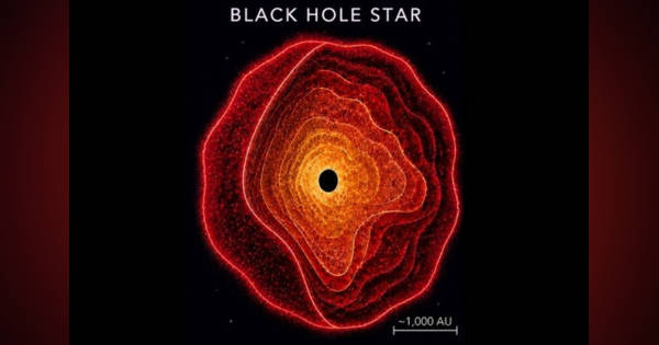 新種の天体「ブラックホール星」、ウェッブ宇宙望遠鏡の観測で発見