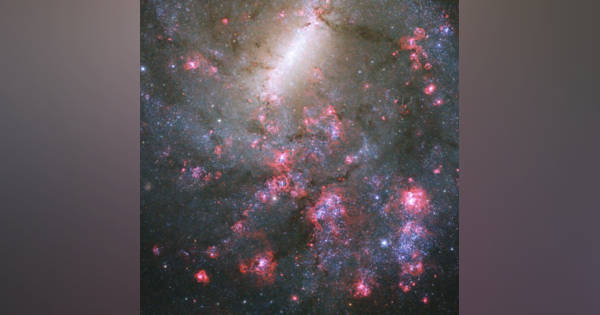 花咲くような“星のゆりかご”の輝き ハッブル宇宙望遠鏡が観測した棒
