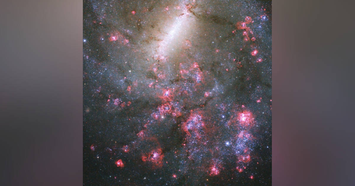 花咲くような“星のゆりかご”の輝き ハッブル宇宙望遠鏡が観測した棒