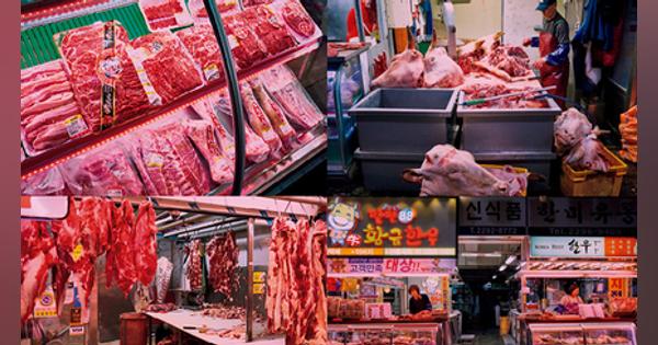 見渡す限りの肉・肉・肉 馬場洞の畜産物市場を散策──韓国焼肉冒険旅行5日間DAY4