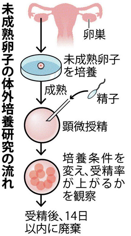 大阪の医療機関：不妊研究で受精卵作製　国に初申請