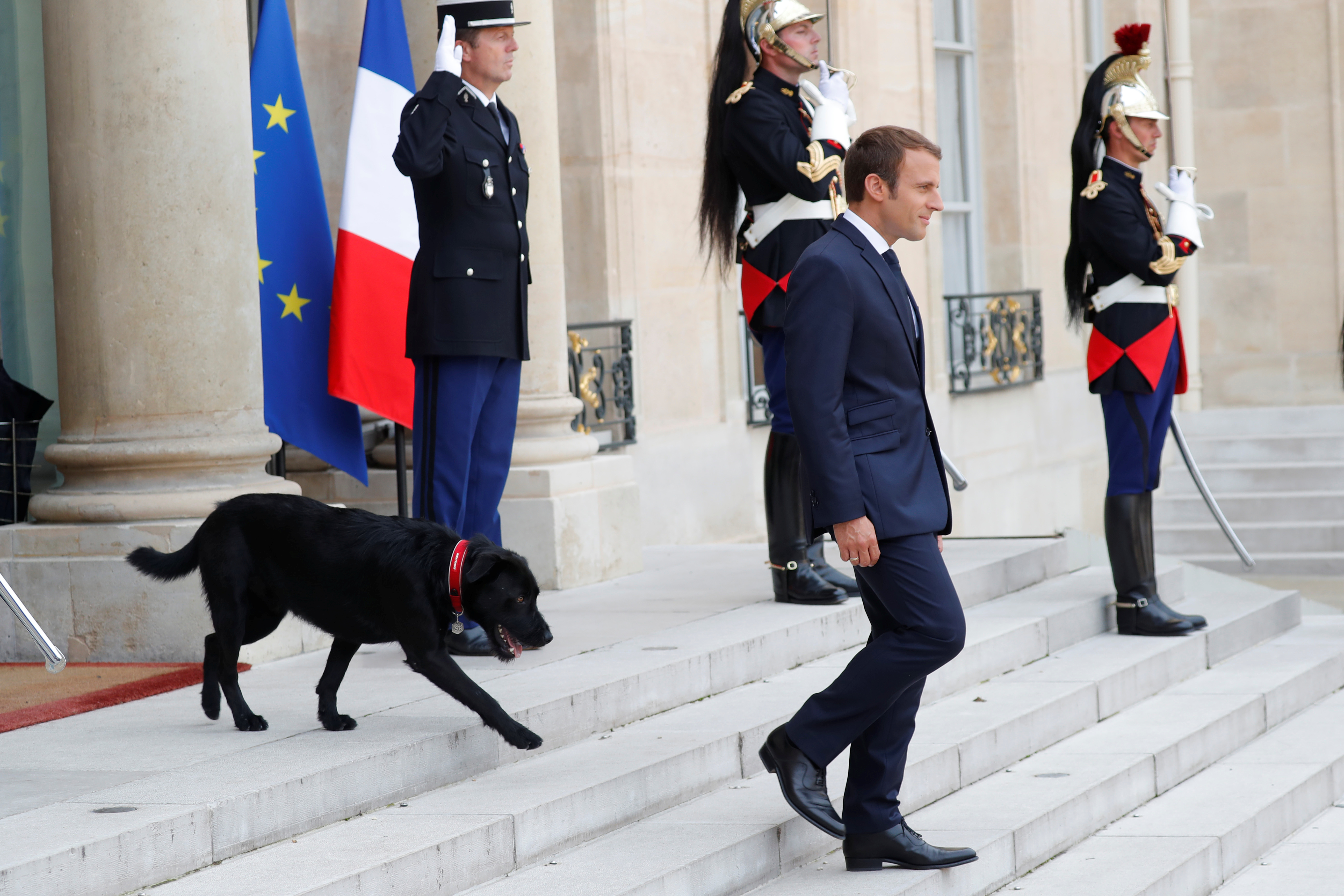 フランスの“ファーストドッグ”は元・保護犬。マクロン大統領、黒い雑種犬「ネモ」を官邸に引き取る