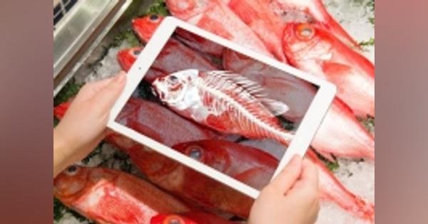 博報堂アイ・スタジオなど、魚の骨格をARで可視化する「スケルギョン」開発