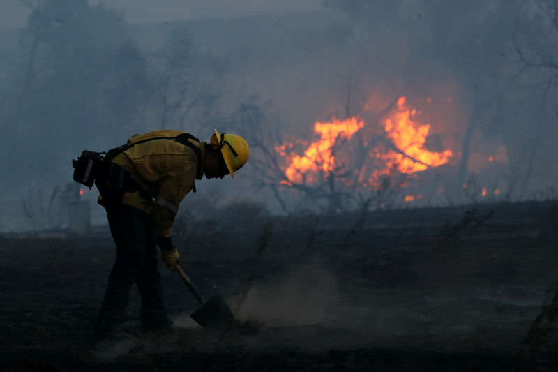 米加州のワイン産地で山火事、少なくとも10人死亡