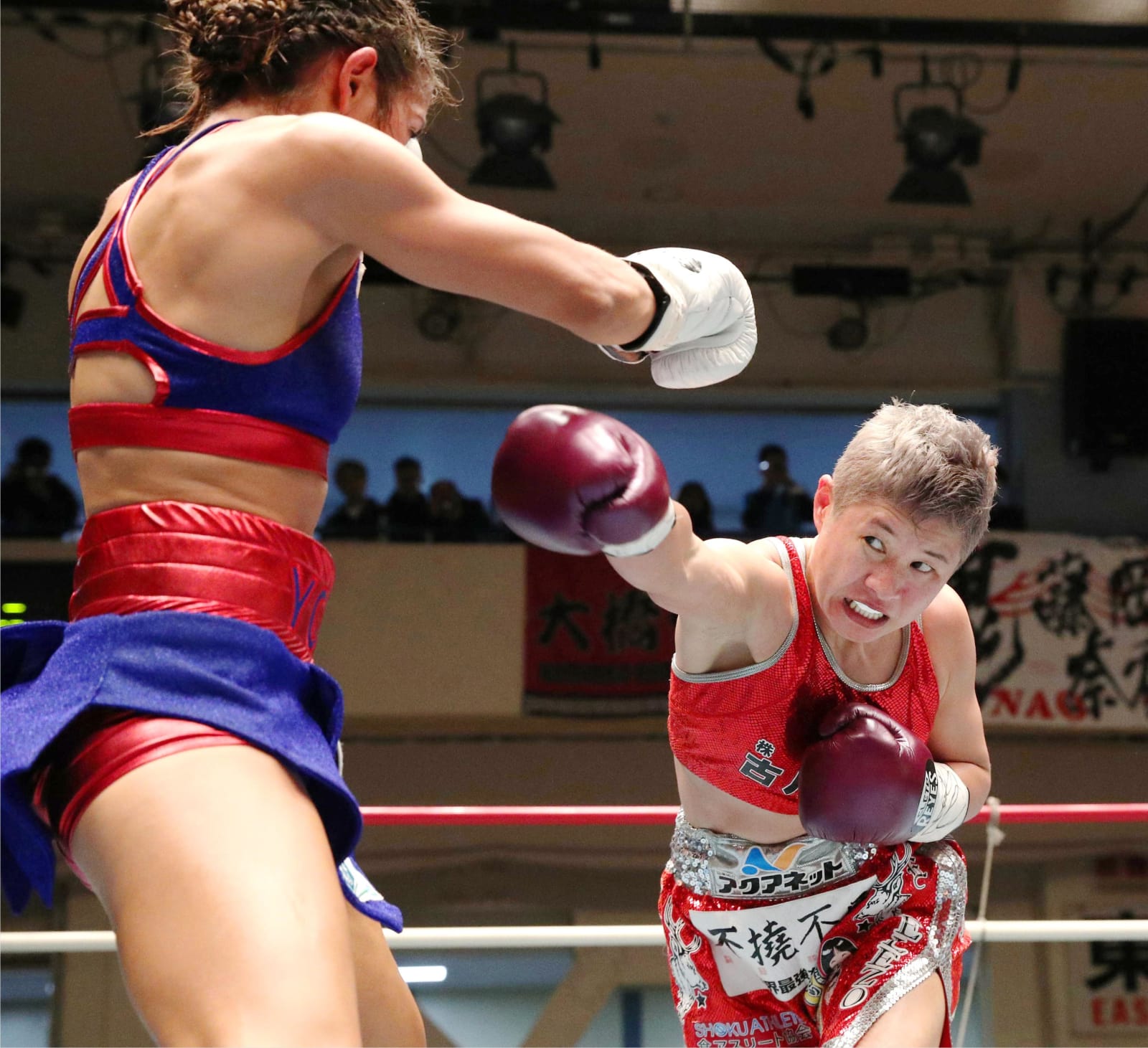 藤岡が最多更新 世界5階級制覇 ボクシング女子lフライ級