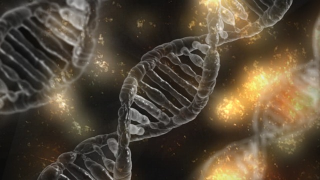 遺伝子改変技術など最も勢いのある生物学の最前線　HONZ特選本『合成生物学の衝撃』
