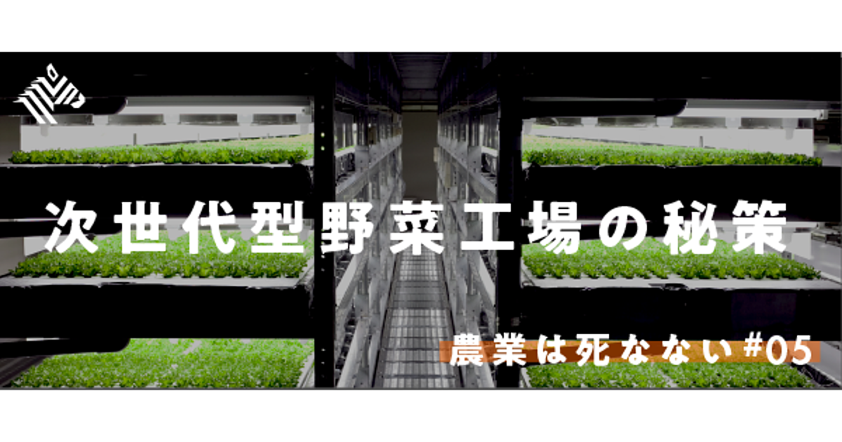 【直撃】京都のレタス自動化工場が、世界を席巻する日
