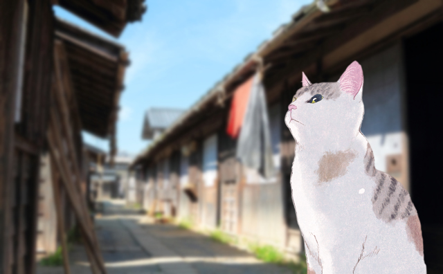 江戸の長屋で一番偉い猫のお話です 田牧大和（作家）インタビュー