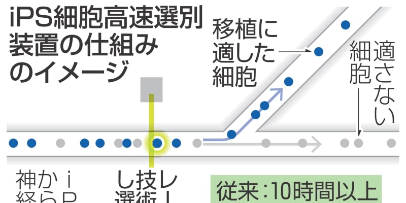 Ips高速選別 装置開発 パーキンソン病治療へ