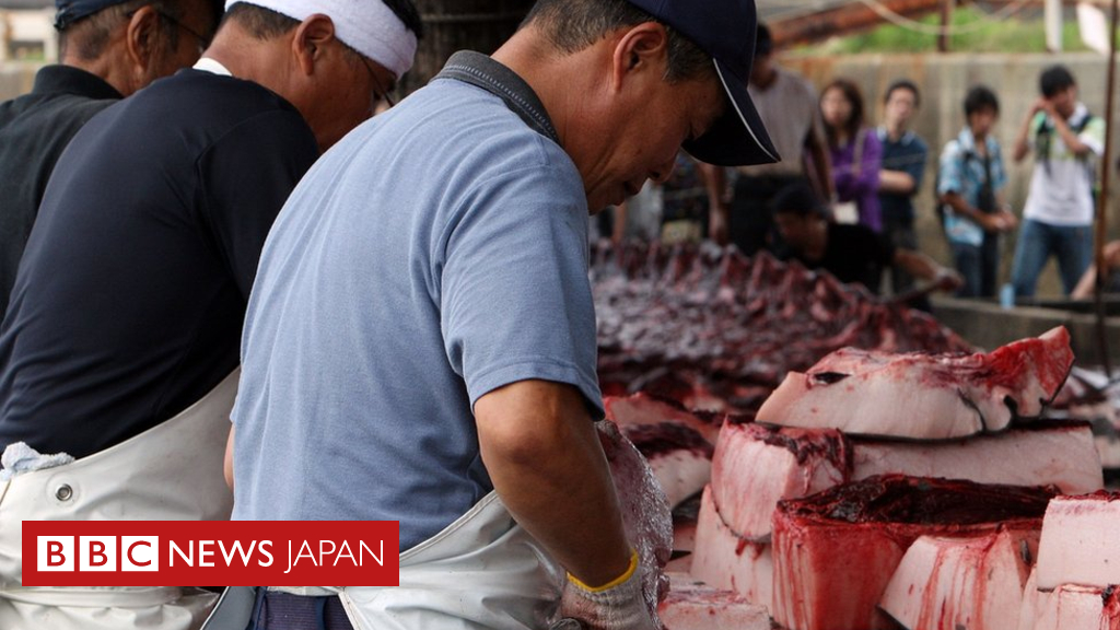 日本とクジラ　なぜ日本は捕鯨をするのか