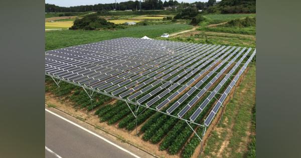 農村再生の切り札か？農業兼太陽光発電所の新システムとは 〈dot.〉