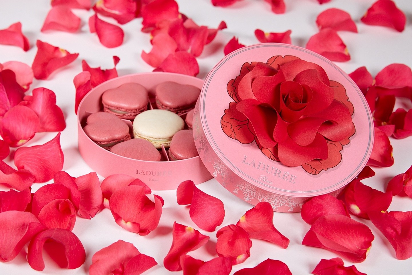 ラデュレがバレンタインコレクション発売 赤いバラの花びらが舞う限定ボックスも