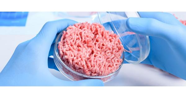 【食糧の未来】動物細胞を培養して、食品生産する「細胞農業」の可能性