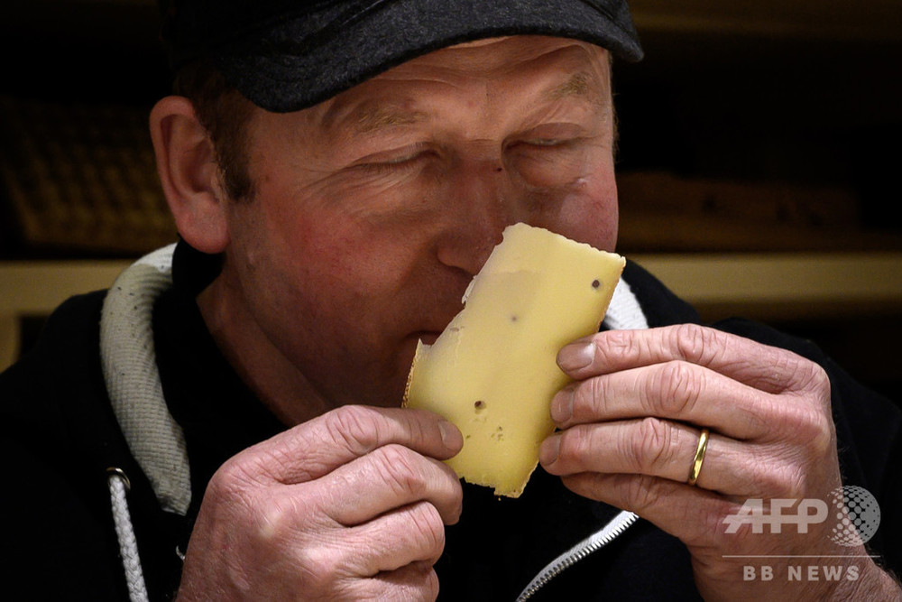 チーズの風味、ヒップホップ聞かせるとマイルドに スイスで実験
