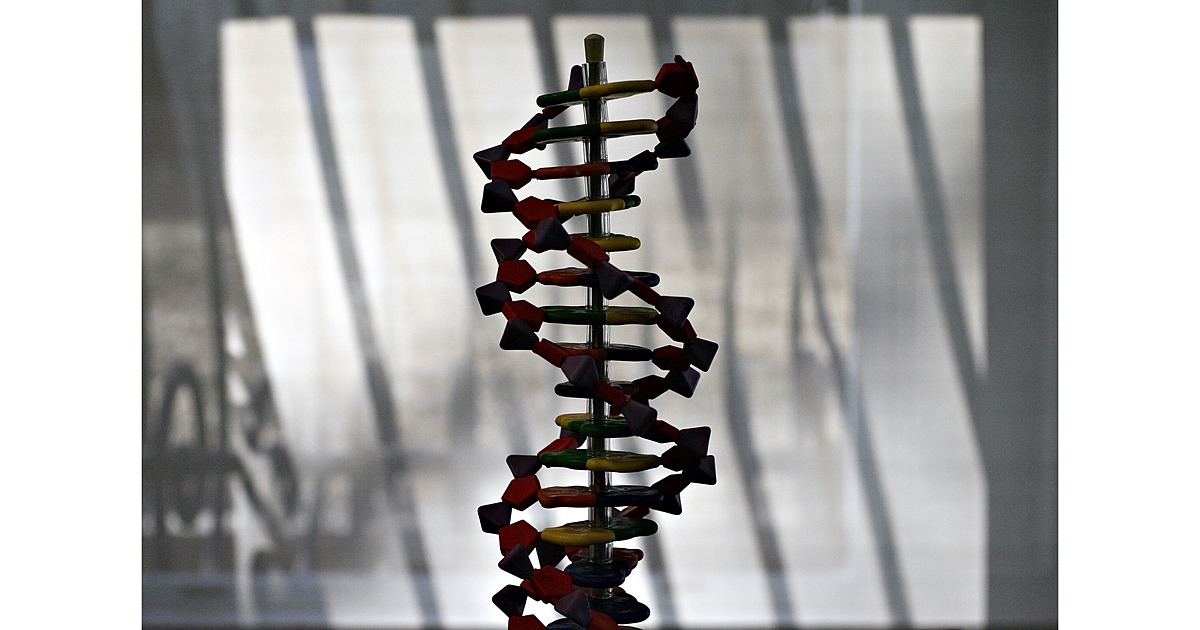 革命的な遺伝子治療の開発ラッシュ、高騰する治療費のジレンマ