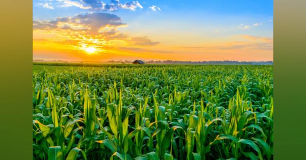 「農薬ゼロ」を実現するアグリテック企業、Joyn Bioの挑戦