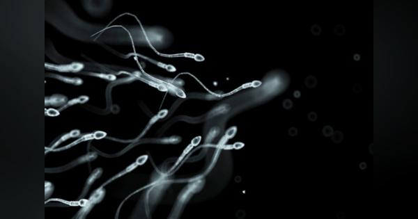 精子提供者のプライバシーを暴く「DNA解析サービス」の問題