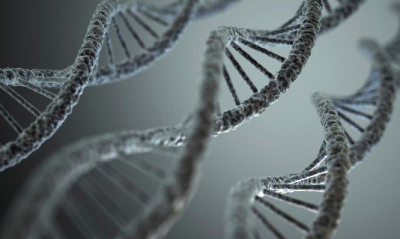 DNA製造をより速くそしてより簡単に、DNA Scriptが42億円強を調達