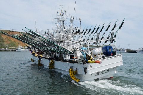 流し網代替自立実証へ 道東沖サバ イワシ漁始まる