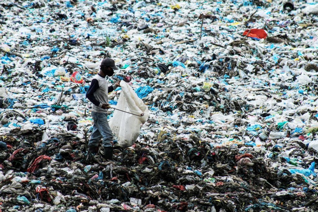 海に捨てられたプラスティックが、酸素を生み出すバクテリアを“殺す”かもしれない：研究結果