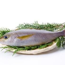 青魚に多く含まれるDHAやEPAが豊富な「白身魚」