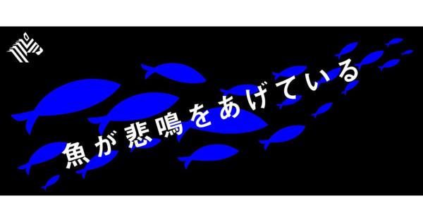 【解説】漁獲量は3分の1に。日本の漁業を苦しめる「真犯人」