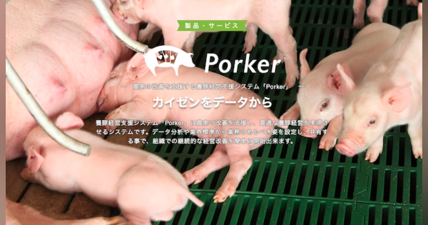 モバイル養豚経営支援「Porker」運営のEco-Porkがリアルテックファンドなどから資金調達