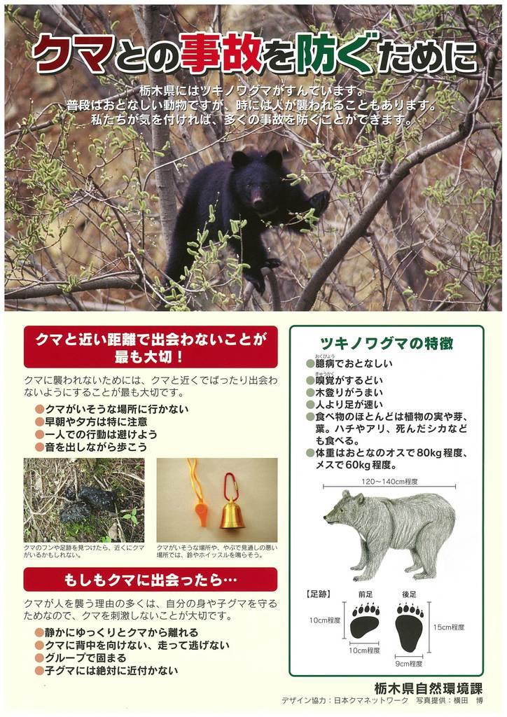 日光東照宮でも 栃木ツキノワグマ目撃急増